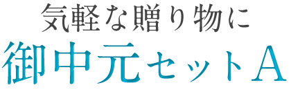 気軽な贈り物に御中元セットA