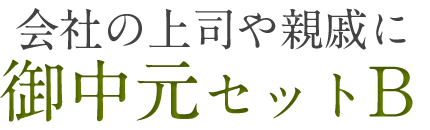 会社の上司や親戚に御中元セットB